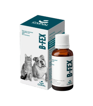 B-Fex Polvo para reconstituir suspensión oral