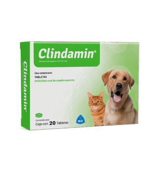 Clindamin 20 Tabletas