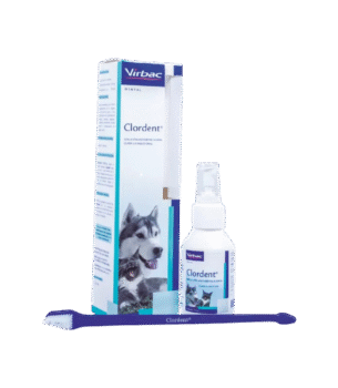 Clordent Kit Dental