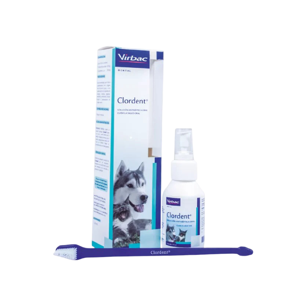 Clordent Kit Dental