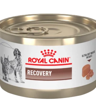 Royal Canin Recovery para perros y gatos