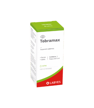 Tobramax 5 mL